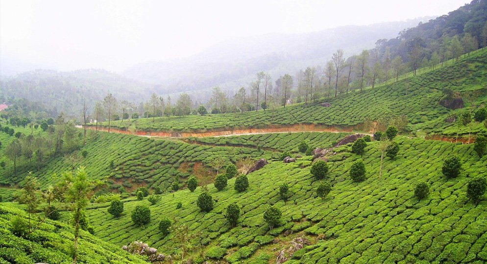 From Madurai to the enchanting Thekkady, best routes for a wonderful weekend