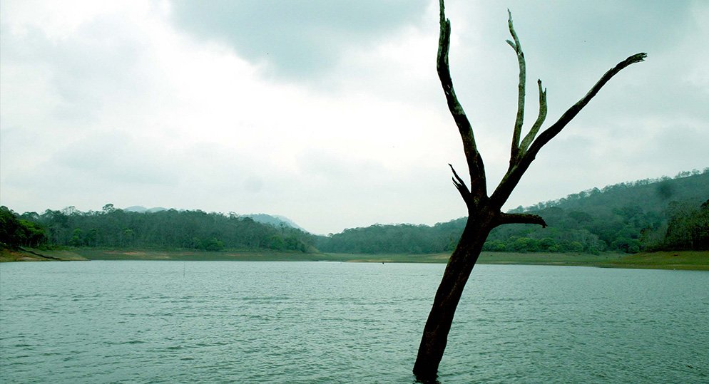 Thekkady - Frequently Asked Questions 